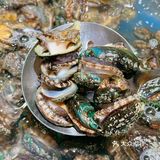 在大悦城📍苏州首店！全球直采海鲜人均百元畅吃