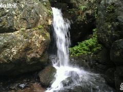 -藏龙百瀑风景区