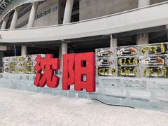 -沈阳奥体冰雪嘉年华