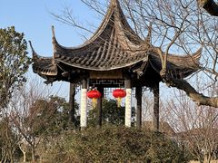 -鹅湖玫瑰文化园