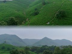 -帐篷客·溪龙茶谷度假酒店