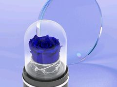 -ROSEONLY诺誓(国际广场购物中心店)