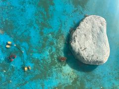 -青龙湖公园
