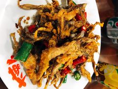 -大萝卜烧烤羊蝎子烤全羊(新城河路店)