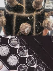 点击看大图 -MY HAIR ARDOR