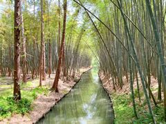 -同里国家湿地公园