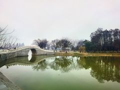-古琴台