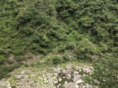 -九鲤溪瀑景区