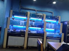 水产区-老虎滩大连海鲜烧烤(建邺云锦路总店)