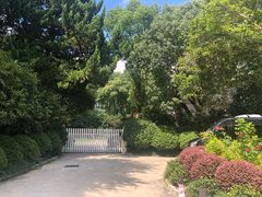 -棕榈岛海鲜自助餐厅(虹桥迎宾馆店)