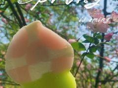 -南山植物园