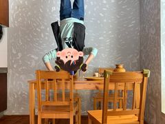 -金山农民画村-枫泾波兰倒置屋
