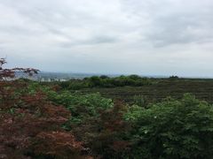 -南京市江宁方山