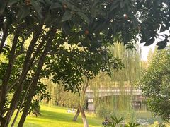 -尚贤河湿地