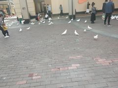 -王府井奥莱临潼小镇(临潼店)