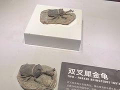 -重庆欢乐海底世界