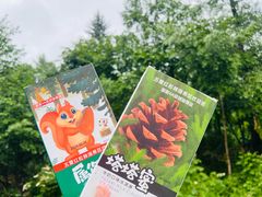 -五营国家森林公园