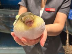 -永安鱼庄·镇江菜(东吴路店)