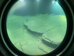 -白鹤梁水下博物馆