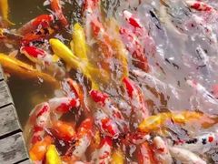 -泰安地下龙宫景区