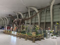 -银川河东国际机场