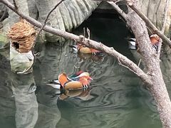 -南宫五洲植物乐园