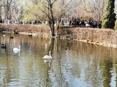 -长白岛森林公园