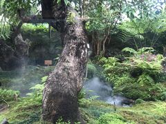 -Chom Cafe and Restaurant