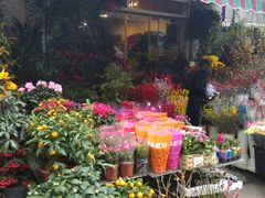 -平吉花卉市场