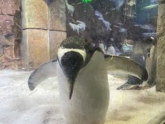 -波塞冬海底世界