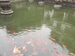 -苏州吴宫泛太平洋酒店