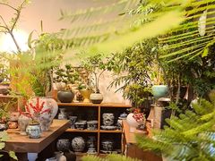 -自由生长植物工作室(深港花卉中心店)