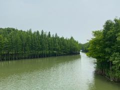 -苏州太湖国家湿地公园