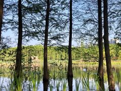 -昆山城市生态森林公园