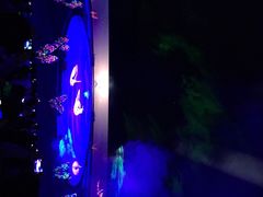 承德鼎盛王朝康熙大典-鼎盛王朝康熙大典实景演出