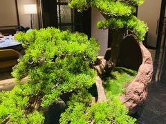-青雅中餐厅(大连金石滩绿发希尔顿度假酒店)