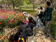 -白塘生态植物园