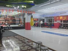 -津武堂散打搏击俱乐部(河西店)