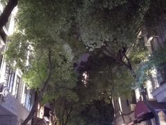 -飞马旅黎黄陂路文旅街区