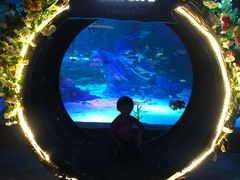 -沈阳海洋探索中心