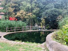 -成都市活水公园