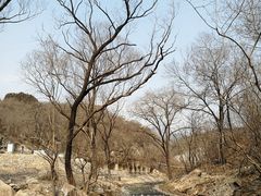 -白水寺森林公园