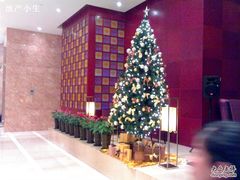 -上海浦东丽晟假日酒店-多瑙河全日餐厅