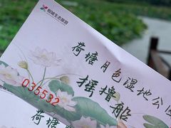 -荷塘月色湿地公园·向阳花洲