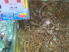 -渔民新村(番禺总店)