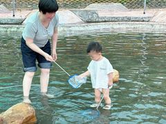 -海上田园