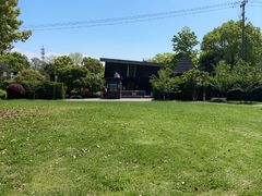 -金山农民画村-枫泾波兰倒置屋