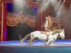 -珠海横琴长隆《卡卡虎奇遇记》