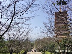 -牛首山文化旅游区