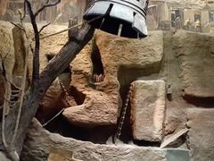 -中国人民抗日战争纪念馆